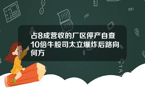占8成营收的厂区停产自查10倍牛股司太立爆炸后路向何方