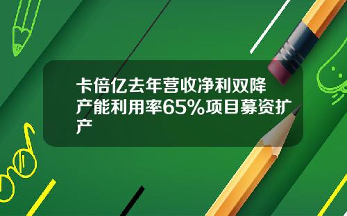 卡倍亿去年营收净利双降 产能利用率65%项目募资扩产