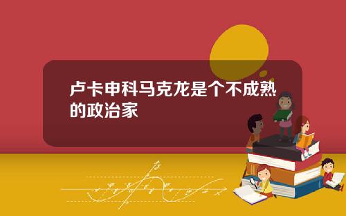 卢卡申科马克龙是个不成熟的政治家