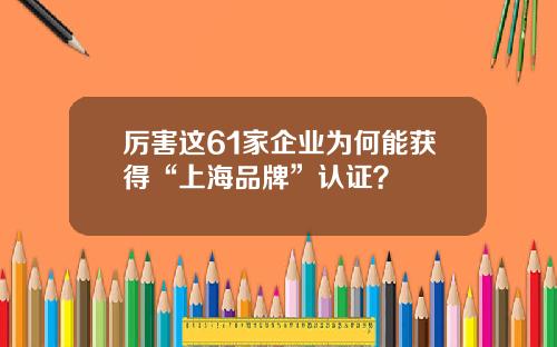 厉害这61家企业为何能获得“上海品牌”认证？