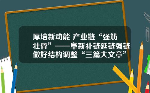 厚培新动能 产业链“强筋壮骨”——阜新补链延链强链做好结构调整“三篇大文章”