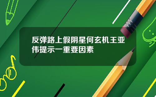 反弹路上假阴星何玄机王亚伟提示一重要因素