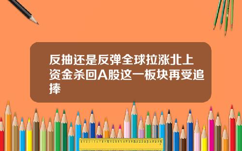 反抽还是反弹全球拉涨北上资金杀回A股这一板块再受追捧
