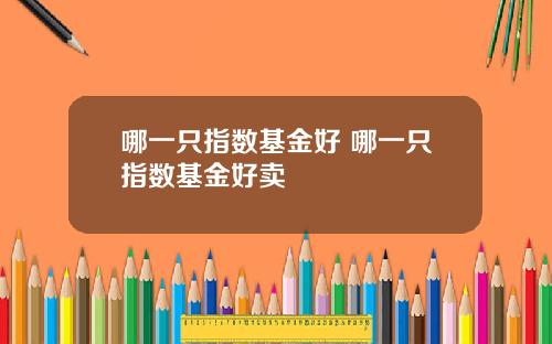 哪一只指数基金好 哪一只指数基金好卖