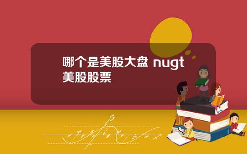 哪个是美股大盘 nugt美股股票