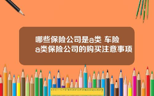 哪些保险公司是a类 车险a类保险公司的购买注意事项