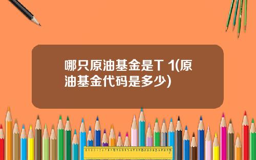 哪只原油基金是T 1(原油基金代码是多少)