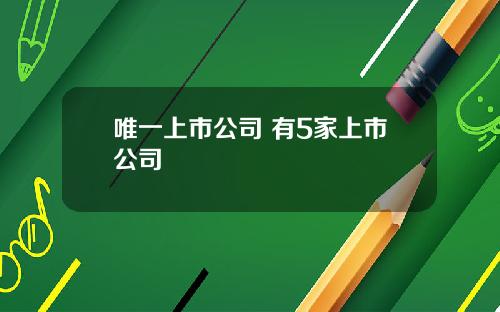 唯一上市公司 有5家上市公司