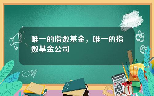 唯一的指数基金，唯一的指数基金公司