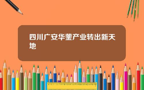 四川广安华蓥产业转出新天地