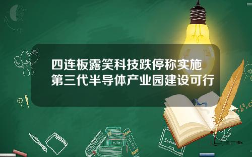 四连板露笑科技跌停称实施第三代半导体产业园建设可行