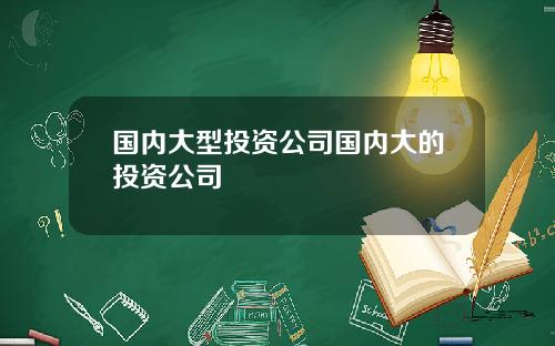 国内大型投资公司国内大的投资公司