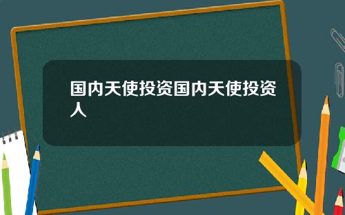 国内天使投资国内天使投资人