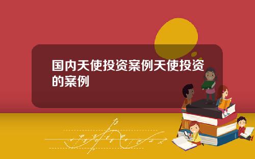 国内天使投资案例天使投资的案例