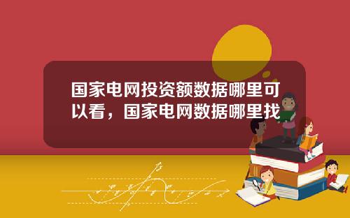 国家电网投资额数据哪里可以看，国家电网数据哪里找