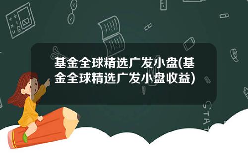 基金全球精选广发小盘(基金全球精选广发小盘收益)