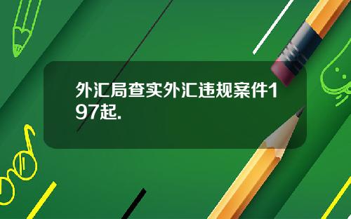 外汇局查实外汇违规案件197起.