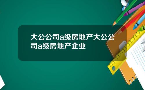 大公公司a级房地产大公公司a级房地产企业