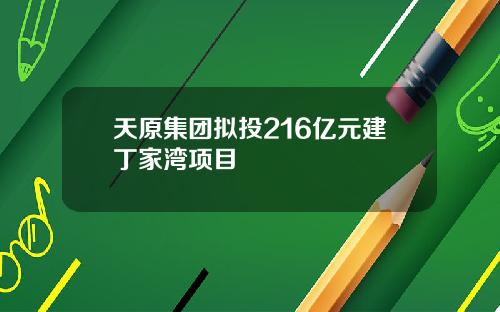天原集团拟投216亿元建丁家湾项目