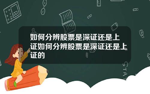 如何分辨股票是深证还是上证如何分辨股票是深证还是上证的