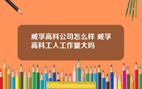威孚高科公司怎么样 威孚高科工人工作量大吗