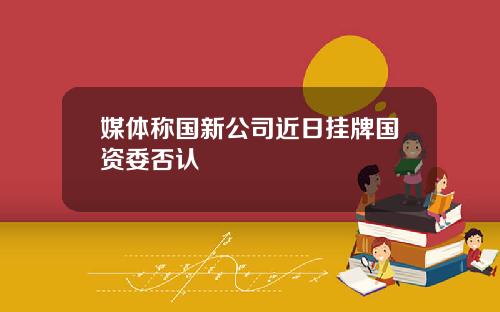 媒体称国新公司近日挂牌国资委否认