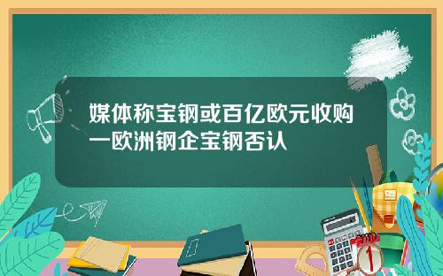 媒体称宝钢或百亿欧元收购一欧洲钢企宝钢否认