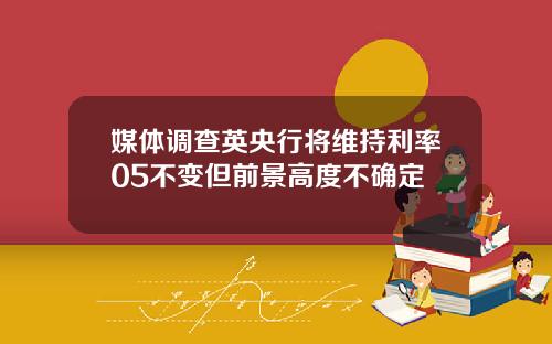 媒体调查英央行将维持利率05不变但前景高度不确定