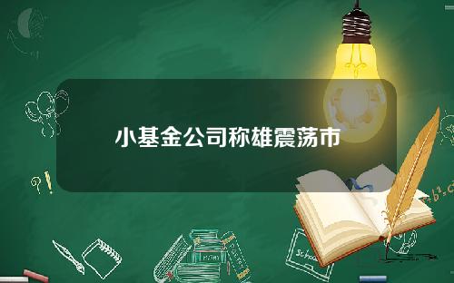 小基金公司称雄震荡市