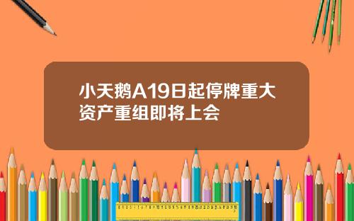 小天鹅A19日起停牌重大资产重组即将上会