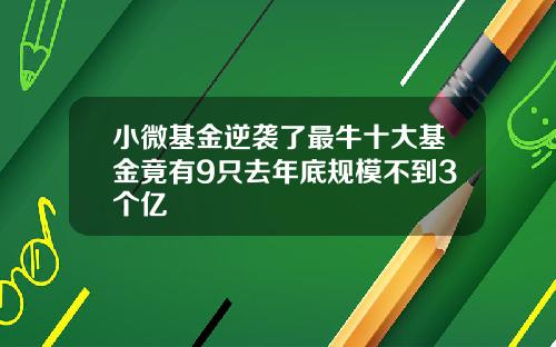 小微基金逆袭了最牛十大基金竟有9只去年底规模不到3个亿