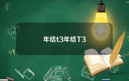 年结t3年结T3