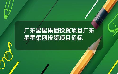 广东星星集团投资项目广东星星集团投资项目招标
