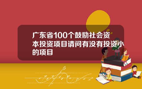 广东省100个鼓励社会资本投资项目请问有没有投资小的项目