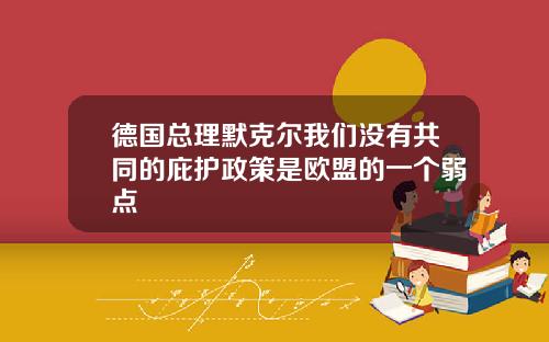 德国总理默克尔我们没有共同的庇护政策是欧盟的一个弱点