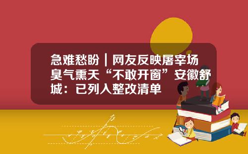 急难愁盼|网友反映屠宰场臭气熏天“不敢开窗”安徽舒城:已列入整改清单