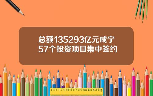 总额135293亿元咸宁57个投资项目集中签约