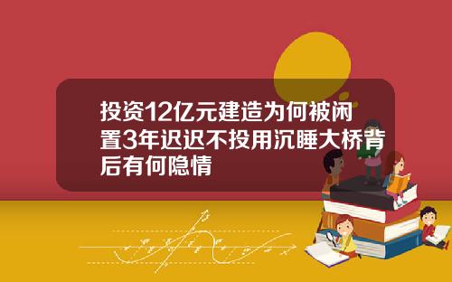 投资12亿元建造为何被闲置3年迟迟不投用沉睡大桥背后有何隐情