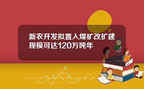 新农开发拟置入煤矿改扩建规模可达120万吨年