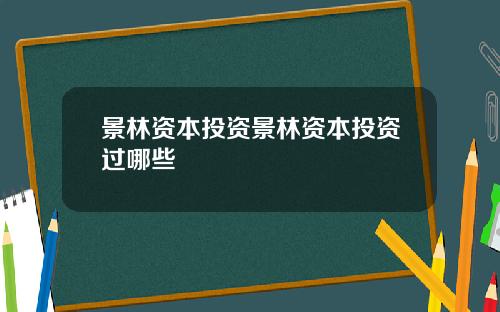 景林资本投资景林资本投资过哪些