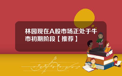 林园现在A股市场正处于牛市初期阶段【推荐】