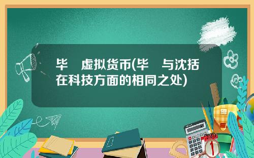 毕昇虚拟货币(毕昇与沈括在科技方面的相同之处)