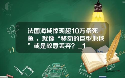 法国海域惊现超10万条死鱼 ，就像“移动的巨型地毯”或是故意丢弃？_1