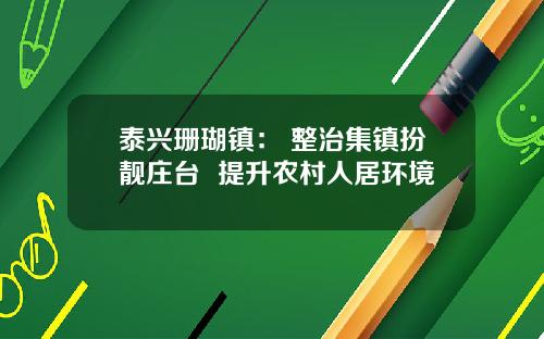 泰兴珊瑚镇： 整治集镇扮靓庄台  提升农村人居环境