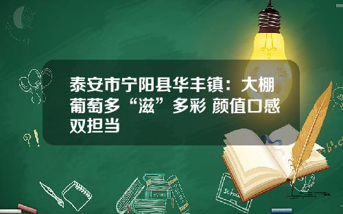 泰安市宁阳县华丰镇：大棚葡萄多“滋”多彩 颜值口感双担当