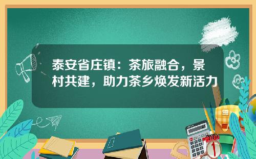 泰安省庄镇：茶旅融合，景村共建，助力茶乡焕发新活力