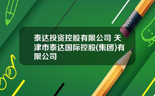 泰达投资控股有限公司 天津市泰达国际控股(集团)有限公司