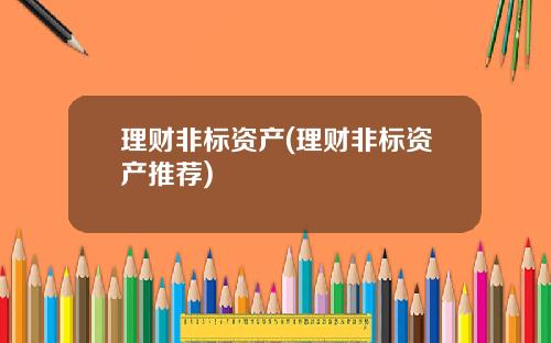 理财非标资产(理财非标资产推荐)