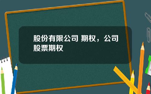 股份有限公司 期权，公司股票期权