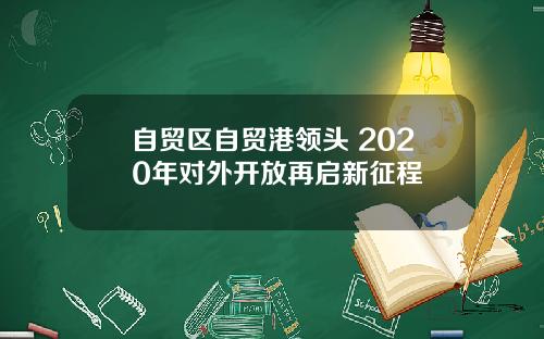 自贸区自贸港领头 2020年对外开放再启新征程